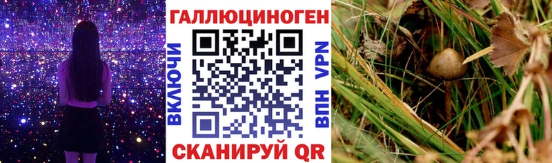 Псилоцибиновые грибы MAGIC MUSHROOMS Красногорск