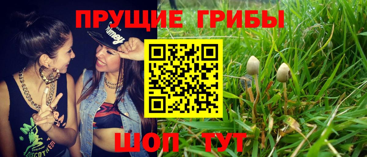 Псилоцибиновые грибы Magic Shrooms Красногорск