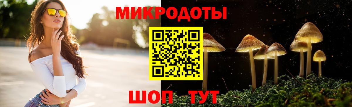 Красногорск  Галлюциногенные грибы GOLDEN TEACHER  Вход с VPN 